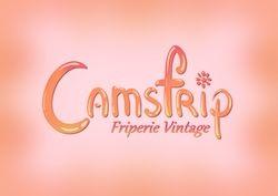 Tingit pro partner logo